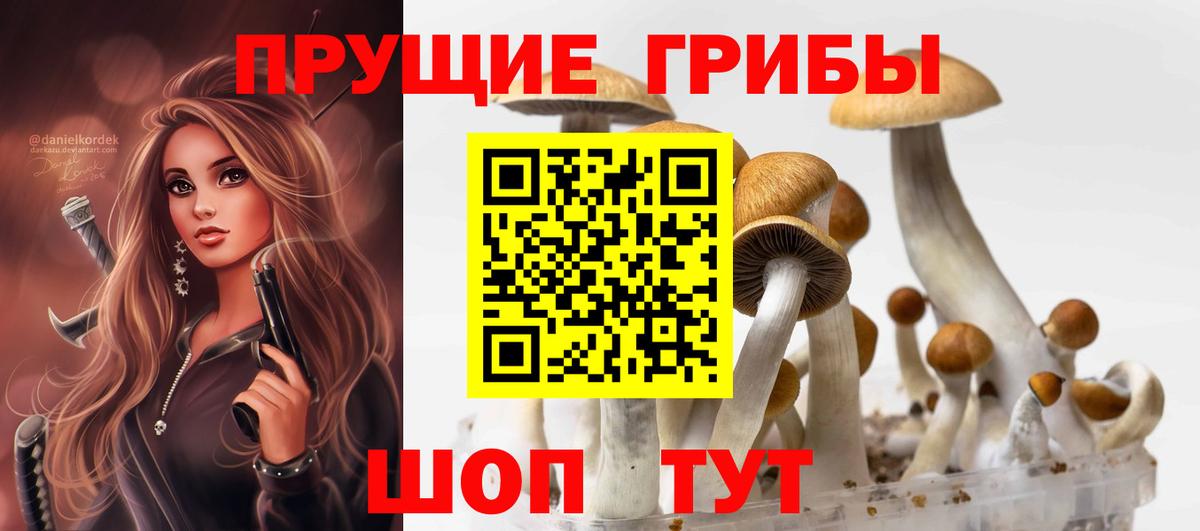 Балашов  Псилоцибиновые грибы прущие грибы  Вход с VPN  Галлюциногенные грибы MAGIC MUSHROOMS 